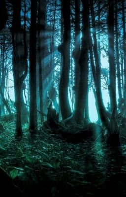 Вампирша с цветными волосами (книга 1)