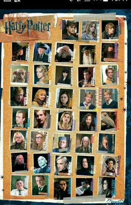 Рассуждения 