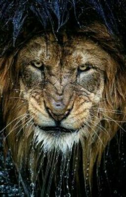 Страшилки и Ужастики