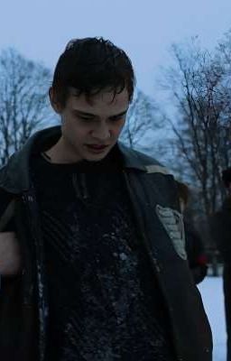 враждебная ласка