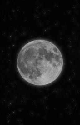 Прекрасное далеко