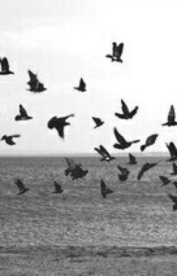 Жизнь после жизни