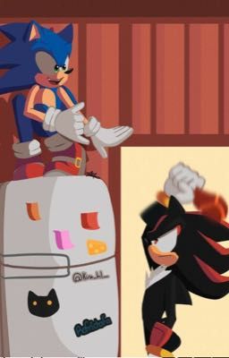 Неожиданная совместная жизнь 