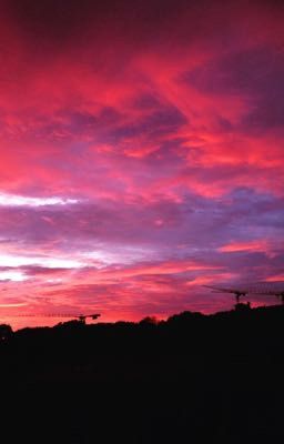 История одного вожатого