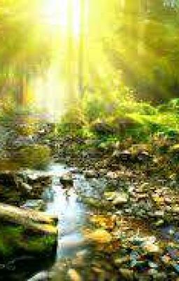 Дочь дровосека