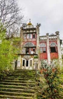 проклятая книга 