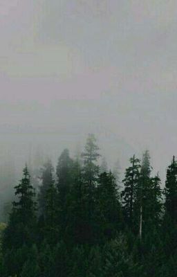 Часодеи. Новая жизнь.