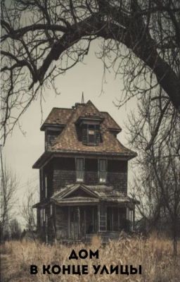 Дом в конце улицы