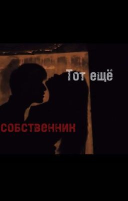 Тот ещё собственник