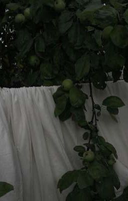 начало конца.