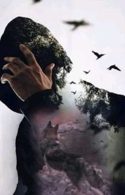 интересные факты о Вампирах