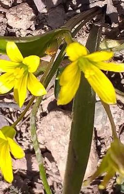 Кто этот парень??