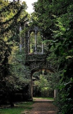 Друг из ниоткуда