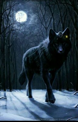 любовь оборотня