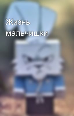 Жизнь мальчишки