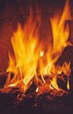 Двойная жизнь