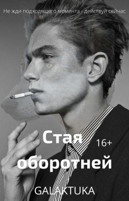 Стая оборотней