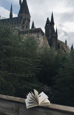 Aucune raison de vivre