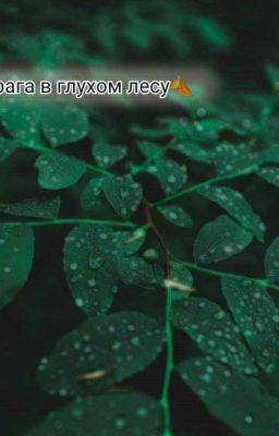 Два врага в глухом лесу🍂