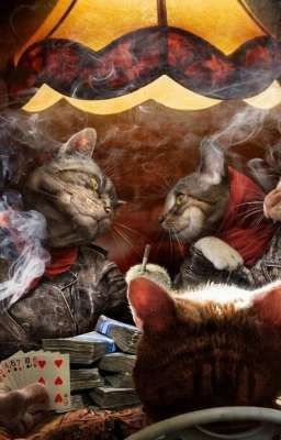 Острые котята