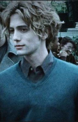 ×Я так долго тебя искал×