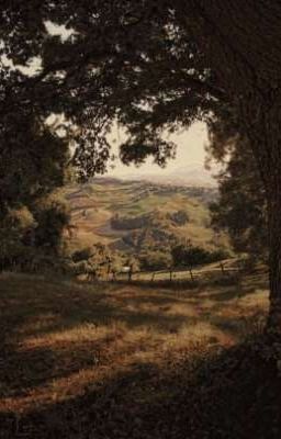 Чудеса не всегда бывают прекрасными...