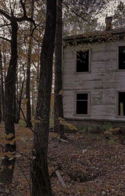 Летний лагерь 