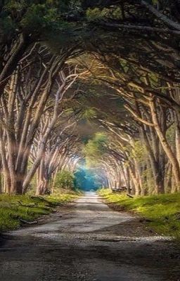 На краю пропасти