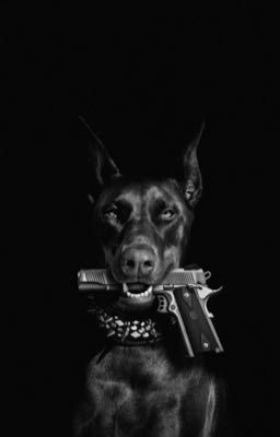 😶‍🌫️Девушка киллер😶‍🌫️