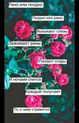 Стихи XXI века