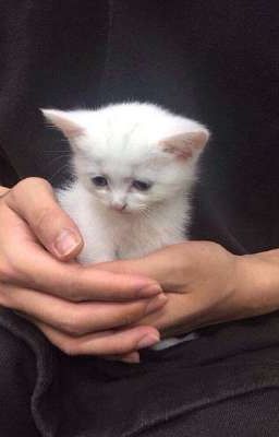 долгий путь к любви 