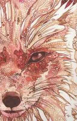 Красный Волк