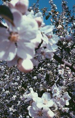 Библиотека духовных записок