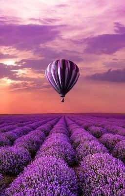 каждому свой демон (жедик) 