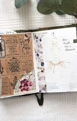 Дневник Карла