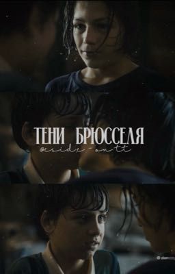 тени брюсселя