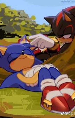 Спор ради свидания