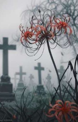 Прекрасные цветы 