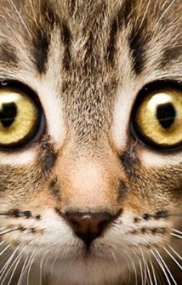 Зимние дни...