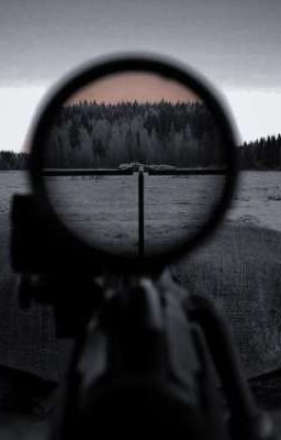 «Меткость» 