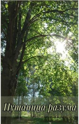 Путаница Разума 