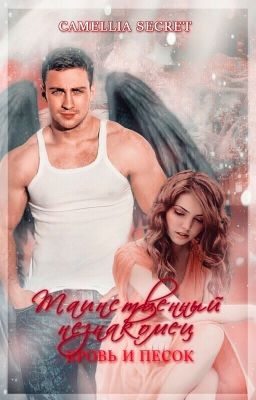 ТАИНСТВЕННЫЙ НЕЗНАКОМЕЦ. КРОВЬ И ПЕСОК