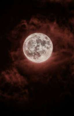 Цена твоей крови 