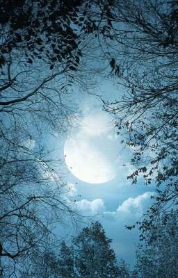 Неужели вещие сны реальны? (Завершено)