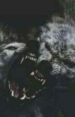 Любовь вопреки.+18