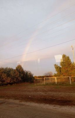 Я люблю тебя ❤️