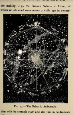 -Наследница Рода Блэк-