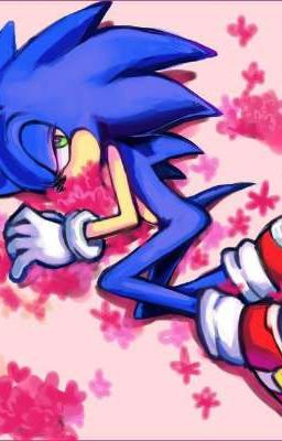 приключения лысой пиздёнки 