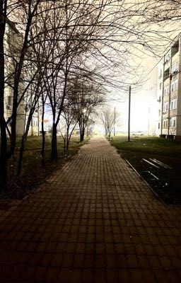 «Если бы можно было снова»