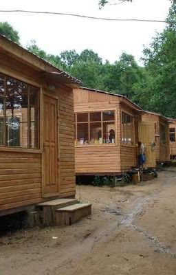 Сумасшедшая поездка